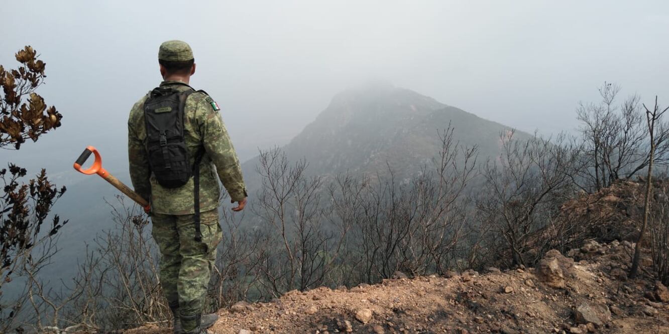 Durante el presente año, suman un total de 106 incendios forestales a lo largo y ancho del territorio veracruzano, reportó la Comisión Nacional Forestal (ESPECIAL)