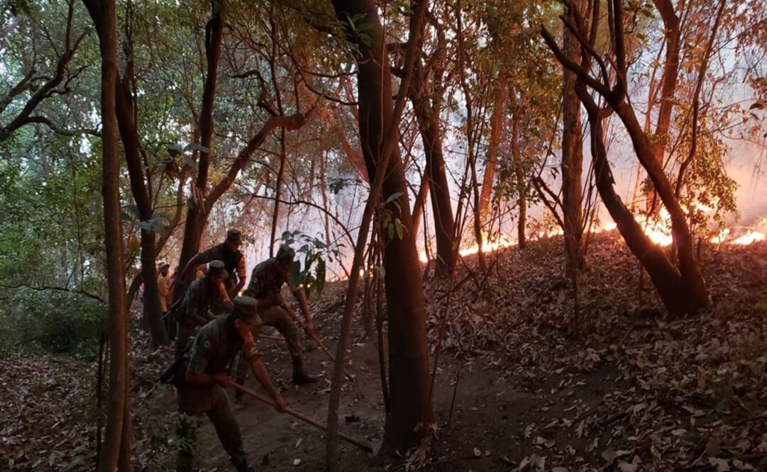 Las acciones de los efectivos militares se realizan en coordinación con autoridades municipales. Foto: Tomada de Twitter @SEDENAmx