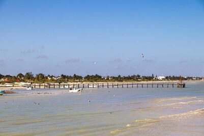 Marea roja en Yucatán, ¿qué es este extraño fenómeno?