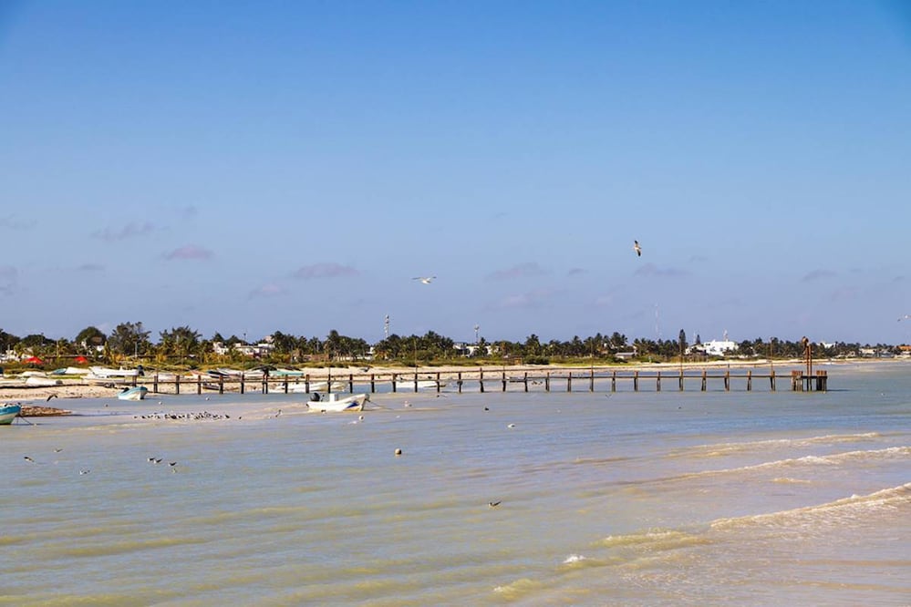 Costas de Yucatán en alerta por la marea roja. Foto: Pixabay/Mike Ramírez