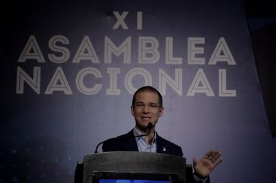 Anaya asegura que el PRI perderá Edomex en 2017