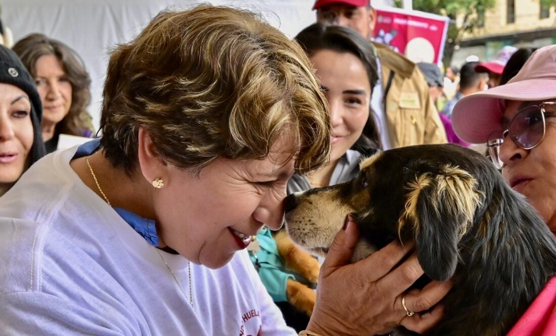 Por iniciativa de la gobernadora Delfina Gómez se puso en marcha la campaña "la Mejor Jugada es Adoptar". Foto: Especial