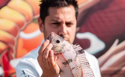 Diego Gallegos y las bondades de la sostenibilidad