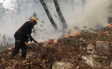 Puebla, séptimo lugar en estados con más incendios forestales en 2024; se registraron 421 siniestros