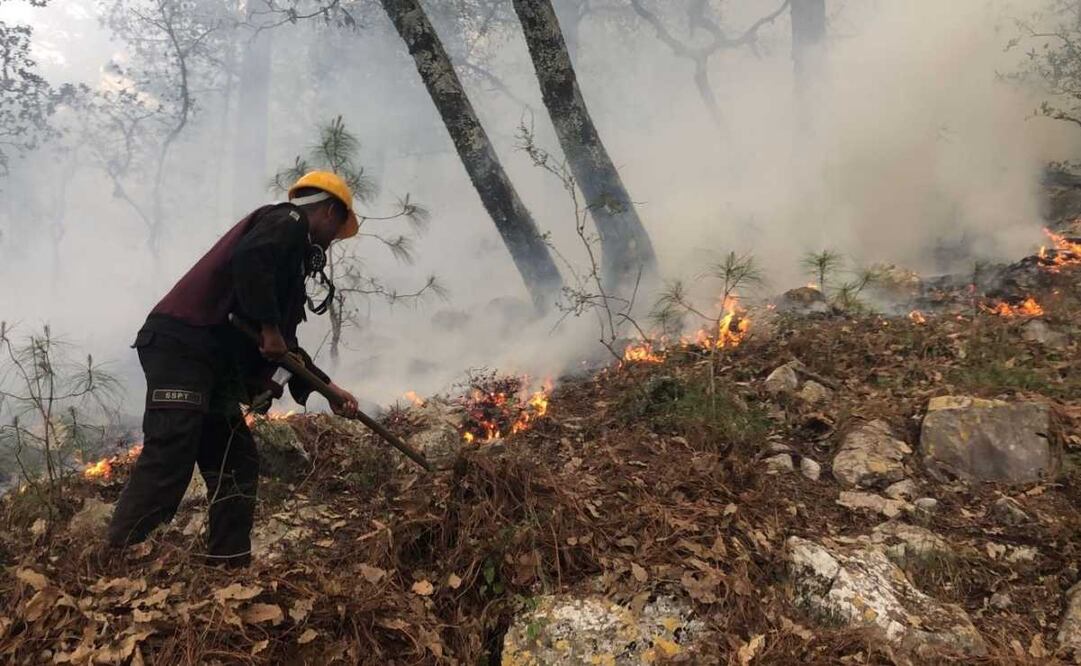 Puebla ocupo el séptimo lugar en estados con más incendios forestales en el 2024. Imagen ilustrativa. Foto: Especial