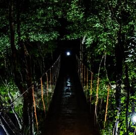 Experience a unique night tour at the Riviera Maya!