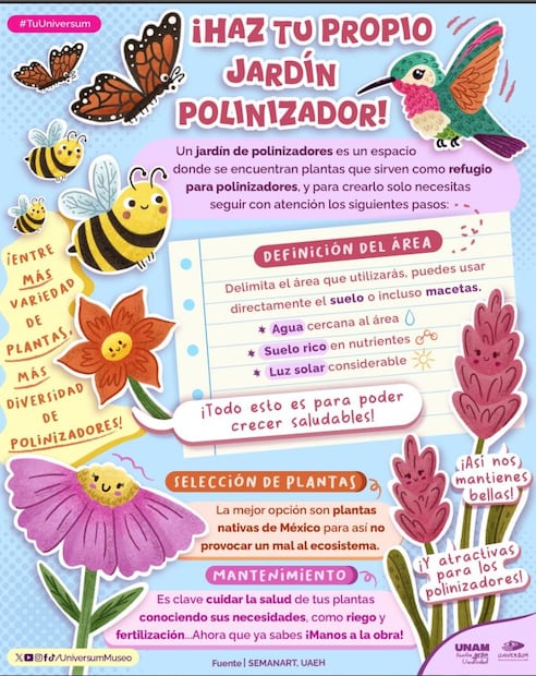 Foto: Captura de pantalla en X