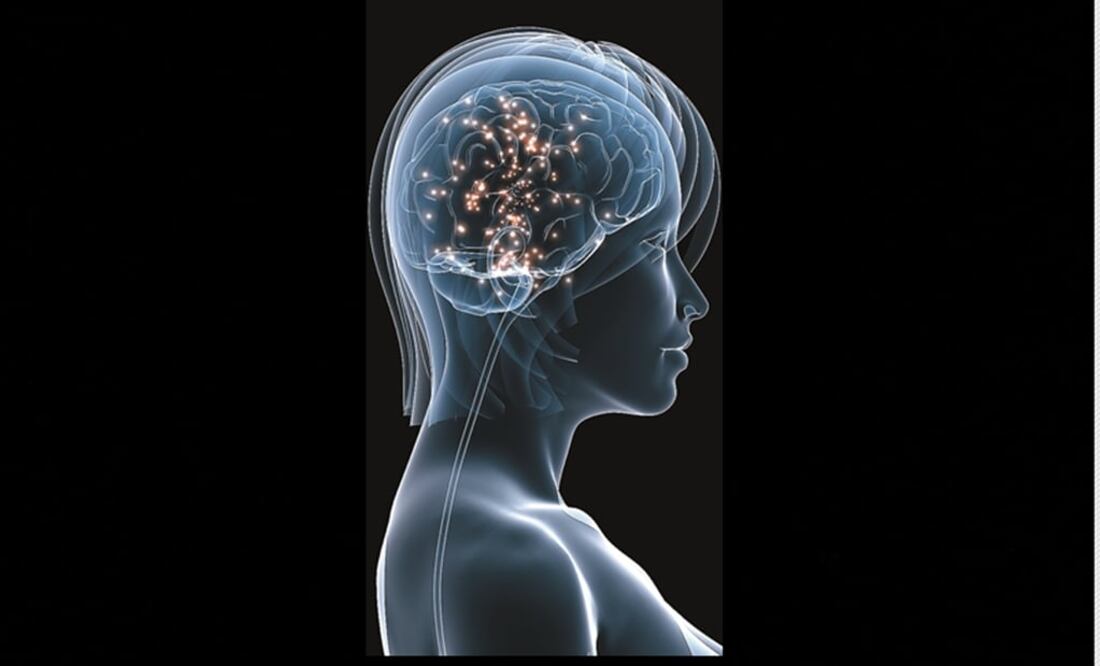 Los investigadores acudirán a escuelas públicas y privadas de todo el país. (FOTO:Archivo/EL UNIVERSAL)