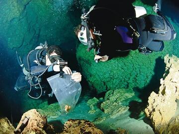 Para Tren Maya, es vital conocer ubicación de cavernas y cenotes: Hidrogeólogo