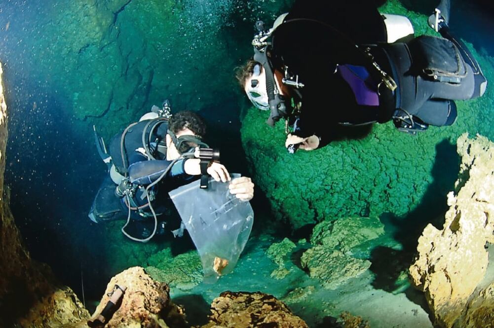Bajo el suelo de la península de Yucatán existen sistemas de cavernas y cenotes que deben ser ubicados antes de que se concrete el tren. (CORTESÍA: ANDREAS MATTHES)
