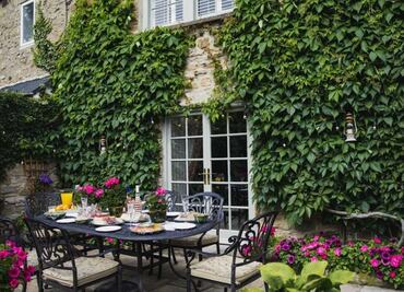 Descubre la planta que puede vivir 500 años en tu jardín