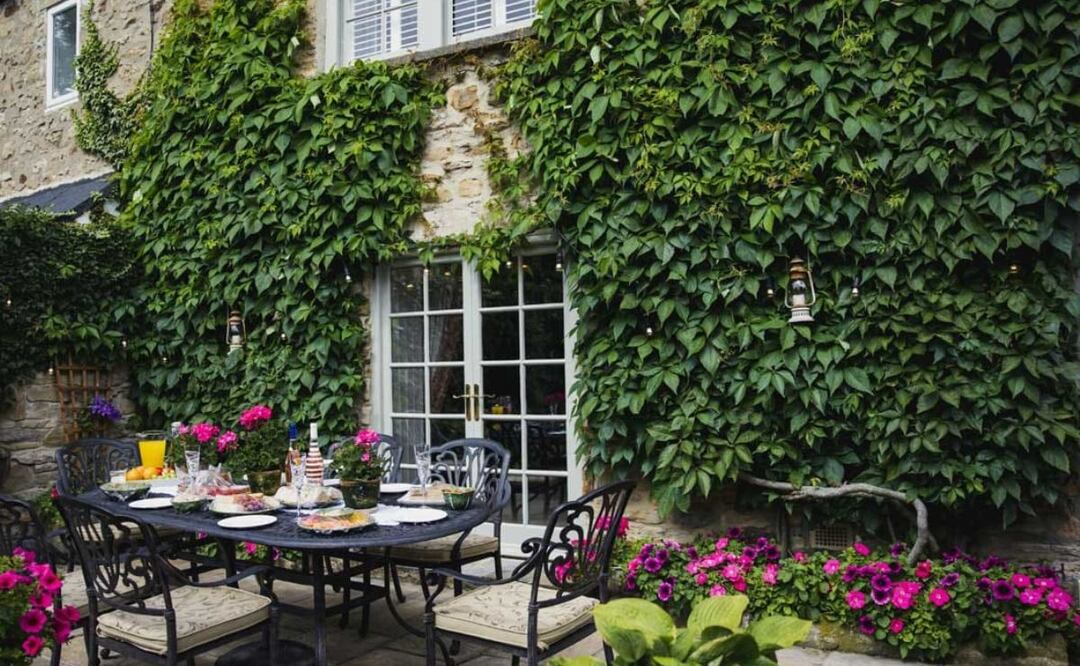 Su resistencia y facilidad de cuidado hacen de la hiedra una opción perfecta para principiantes. Fuente: Freepik.