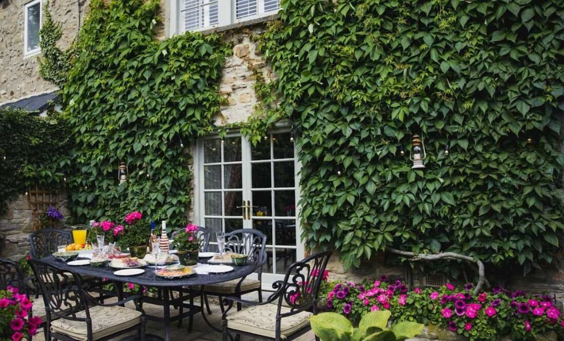 Su resistencia y facilidad de cuidado hacen de la hiedra una opción perfecta para principiantes. Fuente: Freepik.