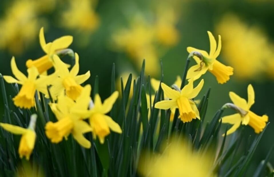 ¿Qué eventos astronómicos ocurrirán en Marzo?