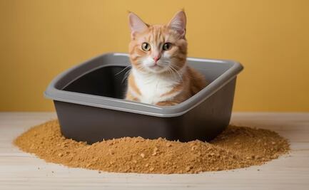  La poderosa planta que neutraliza los malos olores del arenero para gatos