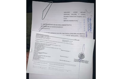 Diputados panistas se amparan contra designación de Ackerman