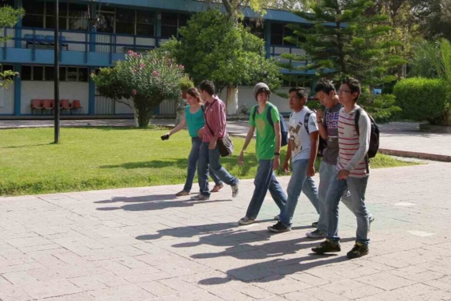 El árbol de los mitos y leyendas de la 4T