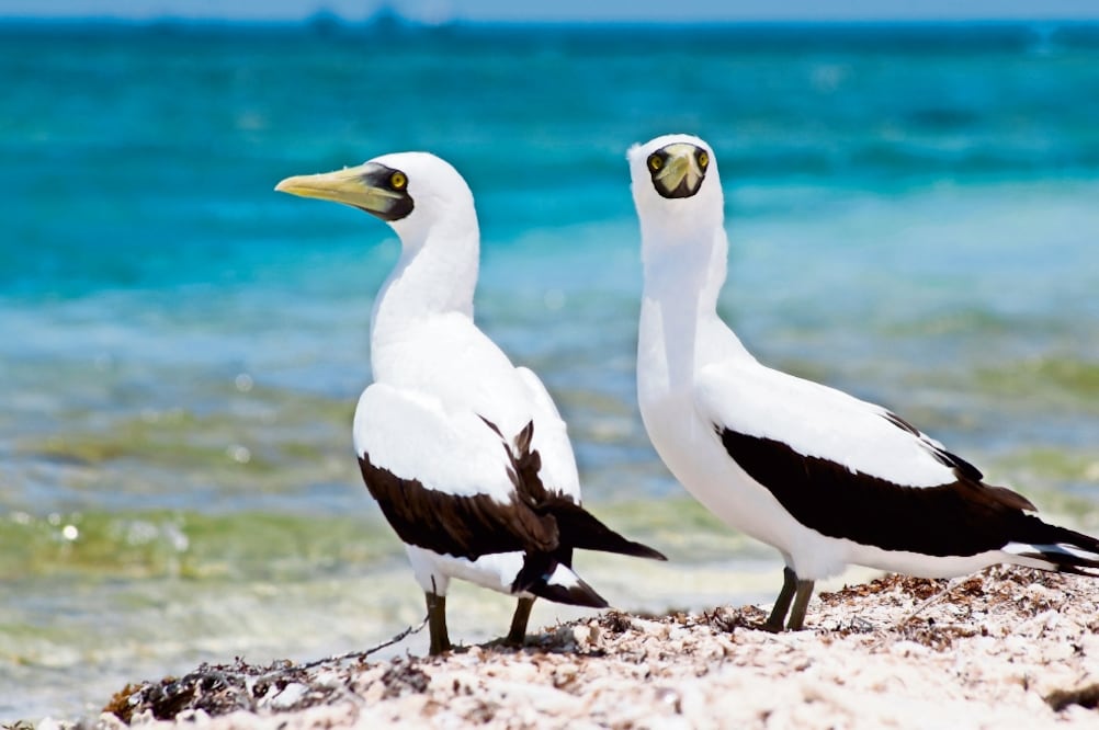 Descubren la historia oculta en áreas naturales de México 
