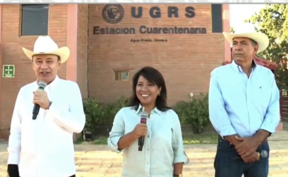 Sonora retoma exportación de ganado a Estados Unidos; reforzarán trazabilidad y vigilancia sanitaria.
Foto: Especial.