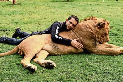 Unidos contra el maltrato animal