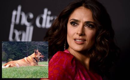 Vecino de Salma Hayek confiesa que mató a su perro