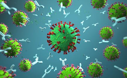 Nuevas pistas sobre ómicron
