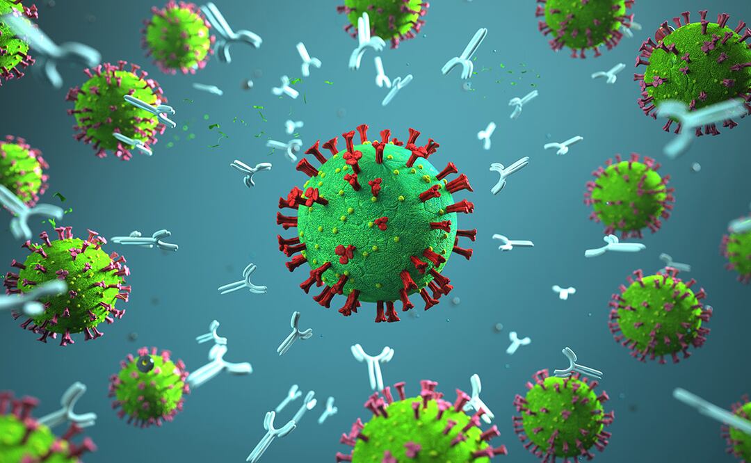 Nuevas pistas sobre ómicron