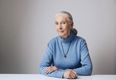 Jane Goodall, la mejor amiga de los chimpancés
