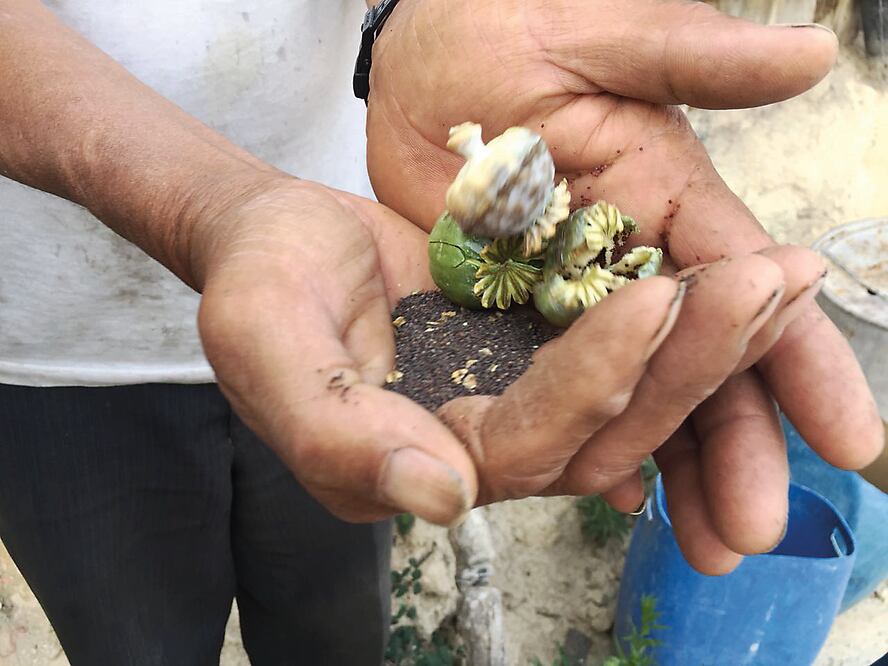 Foto: Vania Pigeonutt / EL UNIVERSAL