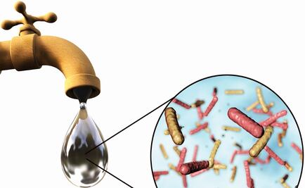 Mexican scientists fight gastroenteritis