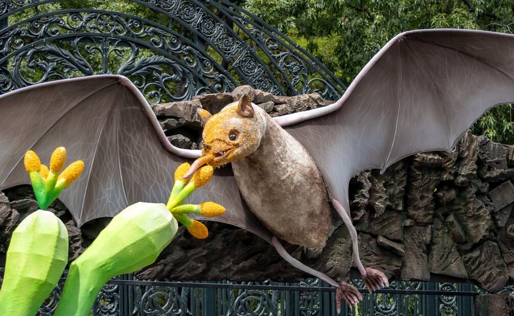 Festival del Bosque 2024. Foto: Facebook Quiróptera: Festival del Bosque de Chapultepec