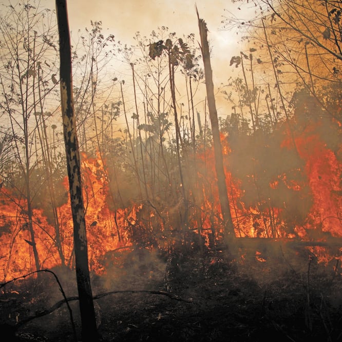 Incendio en la Amazonia, en Porto Velho. Los estados de Pará, Rondonia, Roraima, Tocantíns, Mato Grosso y Acre solicitaron ayuda militar. Foto/UESLEI MARCELINO. REUTERS