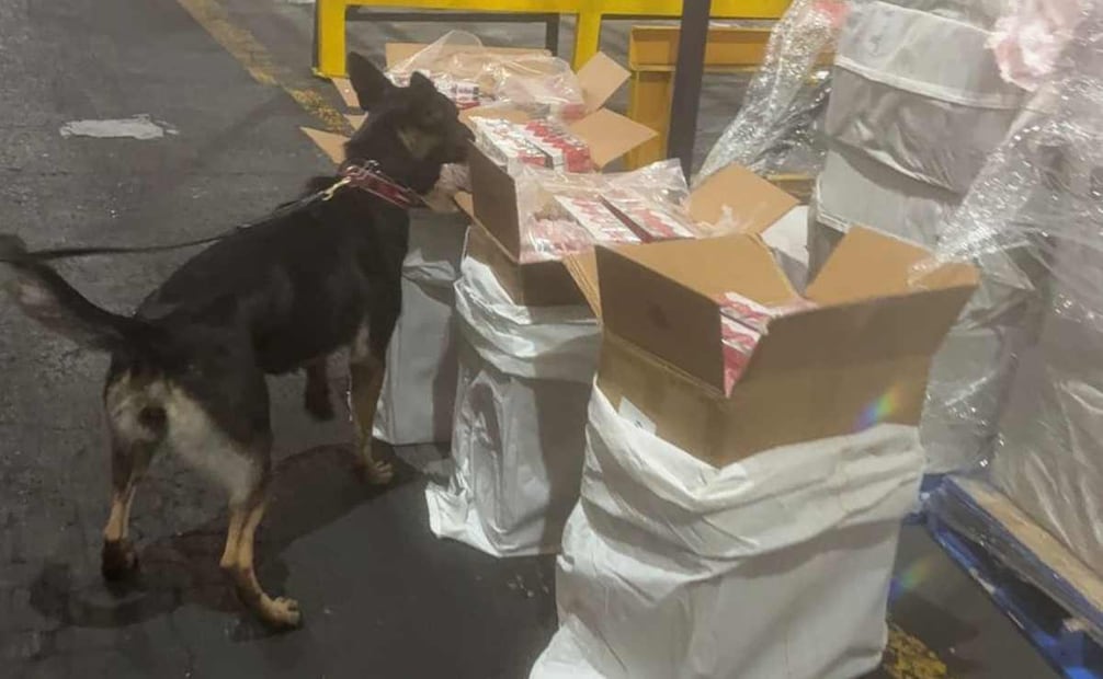Marina asegura más de 88 toneladas de cigarrillos. Foto: Especial