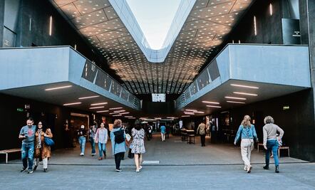 La proyección de "Flow" en la Cineteca y otras actividades para comenzar el año