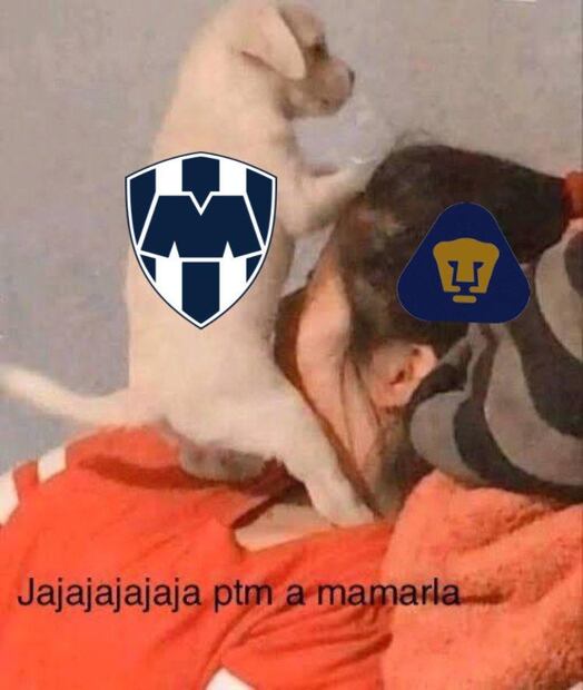 Memes Pumas
