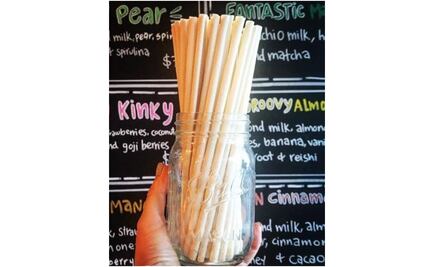 En Nuevo León, convierten el hueso de aguacate en popotes