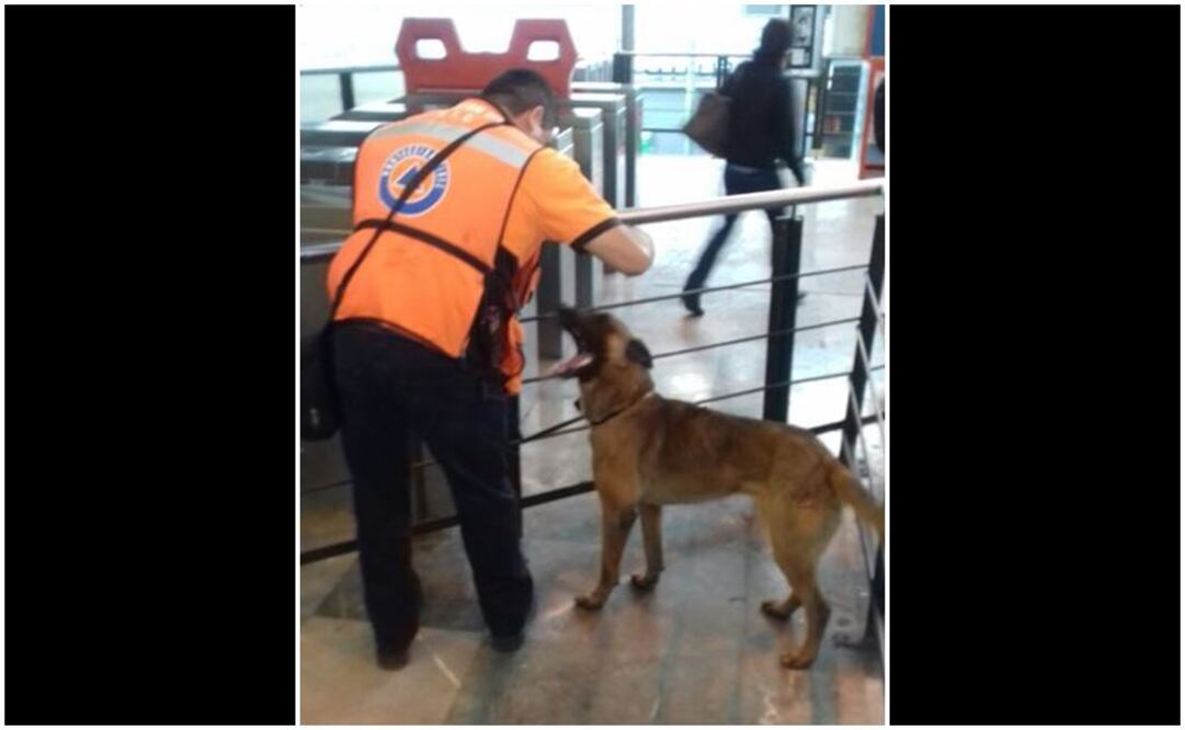 Rescatan a perro en línea B del Metro
