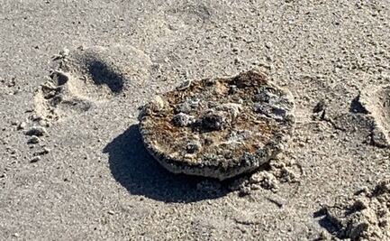 Hombre encuentra mina de la Segunda Guerra Mundial en playa de Florida