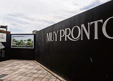 INBAL solicitó al Dolores Olmedo registrar obras con declaratoria de monumento artístico