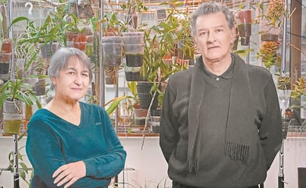 El Pritzker, 'nobel de arquitectura', para Francia, ¿qué opinan arquitectos mexicanos?