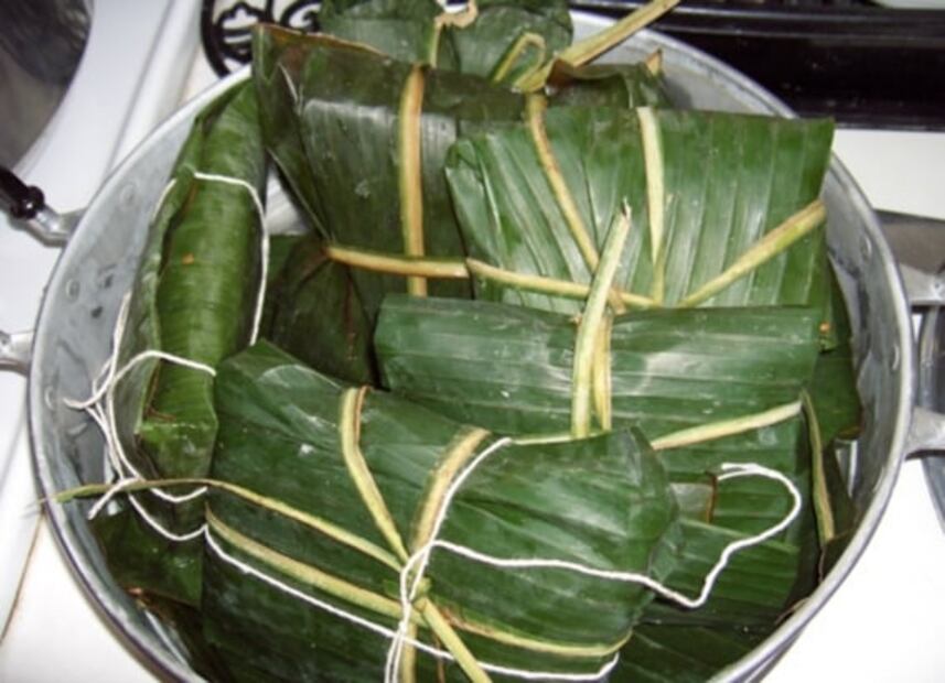 Epazote, una planta ancestral ¿Cómo usarla en la cocina?