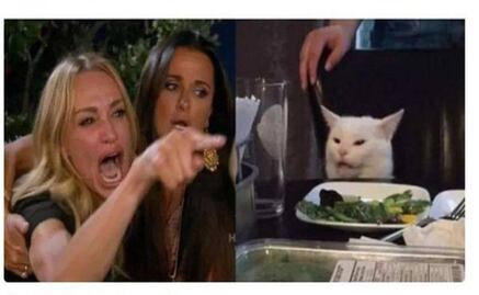 Conoce la cuenta de Instagram de Smudge, el gato de los memes