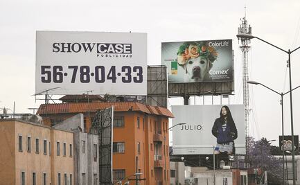 Piden reajustar ley de publicidad