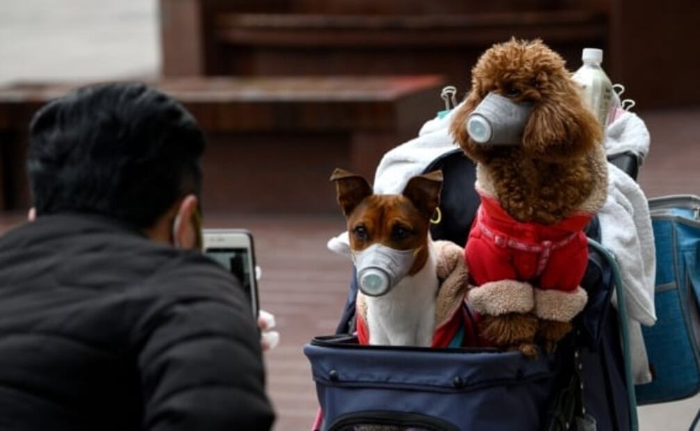 Tips para las personas con diabetes ante el coronavirus