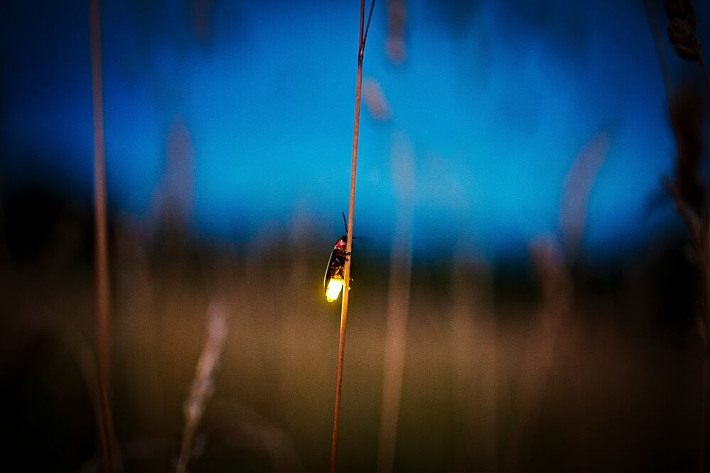 Están prohibidos los celulares y deberás guardar absoluto silencio. (Foto: Istock)