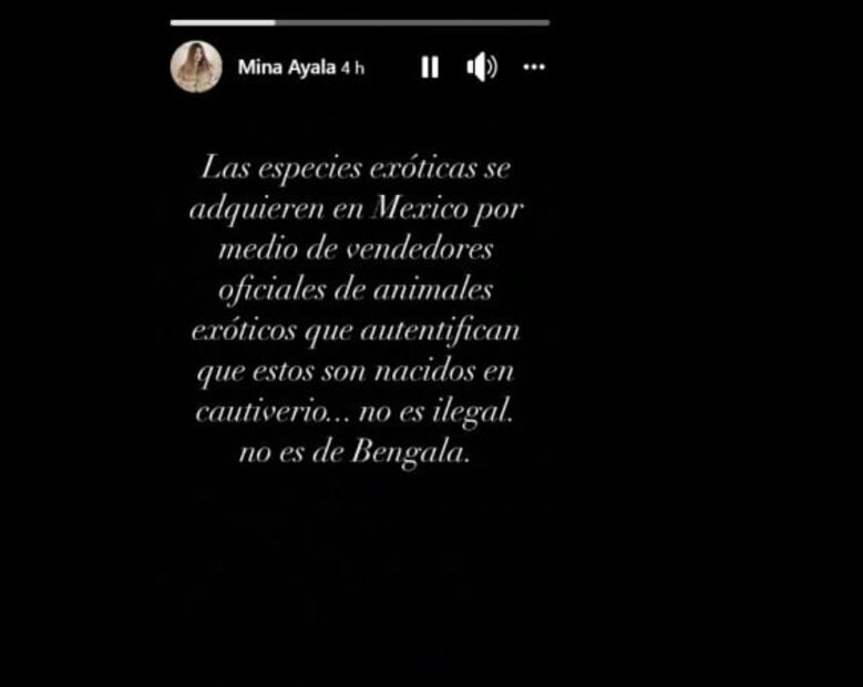 Captan a mujer paseando a un tigre en centro comercial Antara 