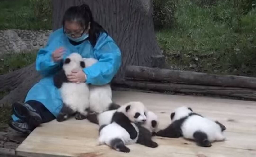 (Foto: Tomada de YouTube)