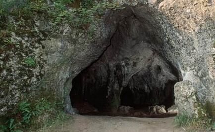 Hallan vestigios de flores en tumba del Paleolítico