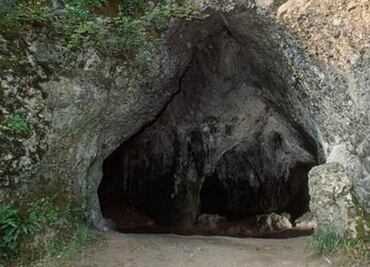 Hallan vestigios de flores en tumba del Paleolítico
