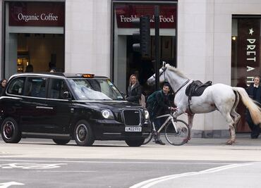VIDEO: Caballos sueltos en Londres siembran el caos y hieren a 4 personas en pleno centro